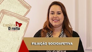 Explica Direito Filiação Socioafetiva  2019 [upl. by Ennahgiel]